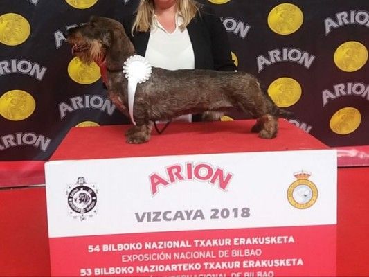 JCh.-Picon-Blanco-de-Ricarama