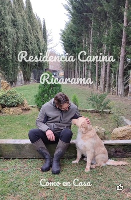 bloggif 66472bd2b0d72 1 - Teckel de pelo duro - Ricarama