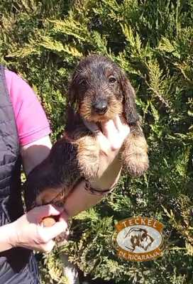bloggif_69d2808717932