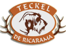 Logotipo Teckel de pelo duro imagen
